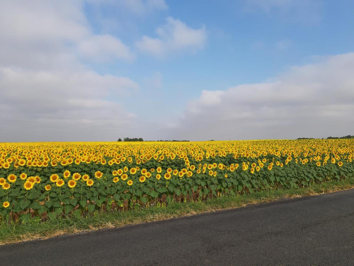 Les Volets Verts Aulnay オルネー エクステリア 写真